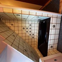 douche sécurisée 29 Saint Thurien avant